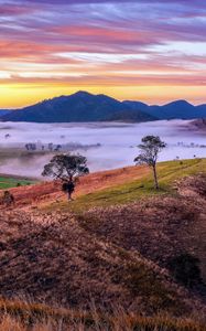 Preview wallpaper mountains, valley, fog, trees, hills, nature