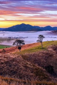 Preview wallpaper mountains, valley, fog, trees, hills, nature