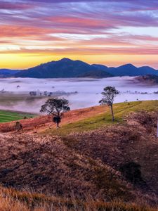 Preview wallpaper mountains, valley, fog, trees, hills, nature