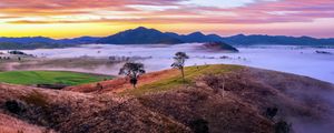 Preview wallpaper mountains, valley, fog, trees, hills, nature