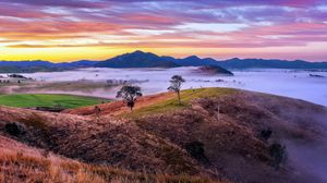 Preview wallpaper mountains, valley, fog, trees, hills, nature