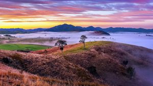 Preview wallpaper mountains, valley, fog, trees, hills, nature