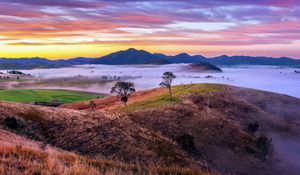 Preview wallpaper mountains, valley, fog, trees, hills, nature