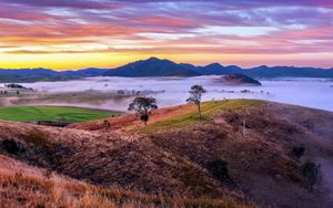 Preview wallpaper mountains, valley, fog, trees, hills, nature