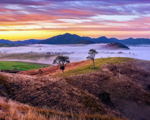 Preview wallpaper mountains, valley, fog, trees, hills, nature