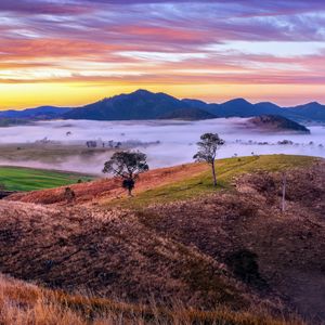 Preview wallpaper mountains, valley, fog, trees, hills, nature