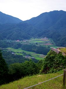 Preview wallpaper mountains, valley, forest, fields, hills, nature