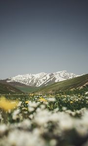 Preview wallpaper mountains, valley, glade, flowers, summer, landscape, nature