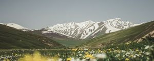 Preview wallpaper mountains, valley, glade, flowers, summer, landscape, nature