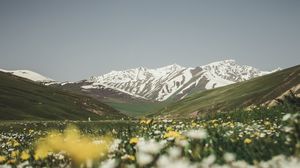 Preview wallpaper mountains, valley, glade, flowers, summer, landscape, nature