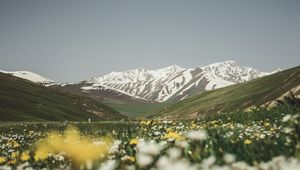 Preview wallpaper mountains, valley, glade, flowers, summer, landscape, nature