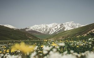 Preview wallpaper mountains, valley, glade, flowers, summer, landscape, nature