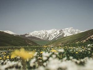 Preview wallpaper mountains, valley, glade, flowers, summer, landscape, nature