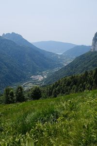 Preview wallpaper mountains, valley, grass, slopes, trees