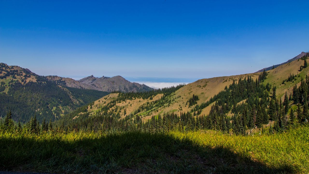 Wallpaper mountains, valley, hills, trees, landscape