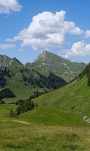 Preview wallpaper mountains, valley, landscape, grass, trees