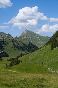 Preview wallpaper mountains, valley, landscape, grass, trees