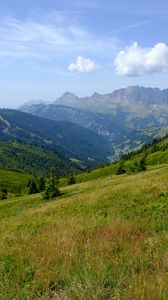 Preview wallpaper mountains, valley, lawn, grass, trees, landscape