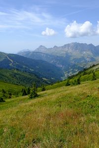Preview wallpaper mountains, valley, lawn, grass, trees, landscape