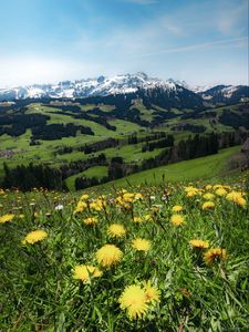 Preview wallpaper mountains, valley, meadow, grass, flowers, landscape, summer