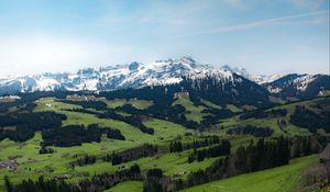 Preview wallpaper mountains, valley, meadow, grass, flowers, landscape, summer