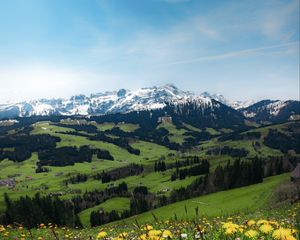 Preview wallpaper mountains, valley, meadow, grass, flowers, landscape, summer