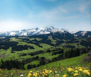 Preview wallpaper mountains, valley, meadow, grass, flowers, landscape, summer