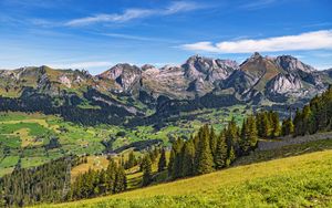 Preview wallpaper mountains, valley, relief, trees, grass, nature