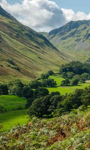 Preview wallpaper mountains, valley, trees, grass, landscape, nature