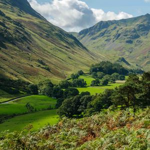 Preview wallpaper mountains, valley, trees, grass, landscape, nature