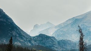 Preview wallpaper mountains, valley, trees, forest, fog