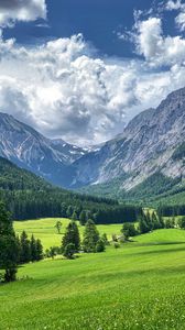 Preview wallpaper mountains, valley, trees, grass, landscape, green