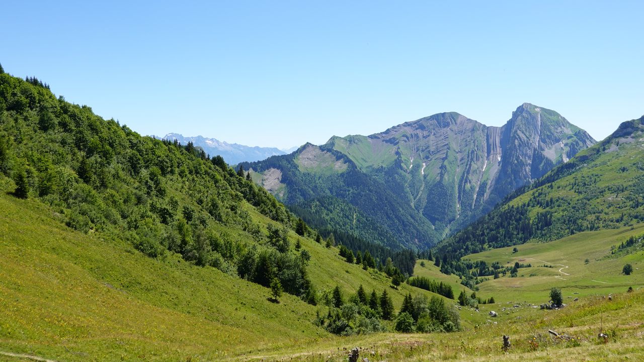 Wallpaper mountains, valley, trees, grass, greenery, nature