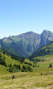 Preview wallpaper mountains, valley, trees, grass, greenery, nature