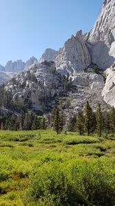 Preview wallpaper mountains, valley, trees, bushes, greenery, landscape