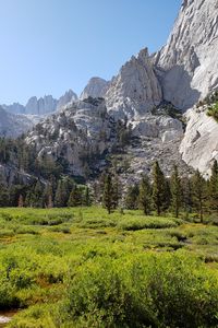 Preview wallpaper mountains, valley, trees, bushes, greenery, landscape