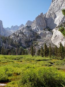 Preview wallpaper mountains, valley, trees, bushes, greenery, landscape