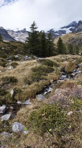 Preview wallpaper mountains, valley, trees, stones, nature