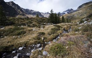 Preview wallpaper mountains, valley, trees, stones, nature