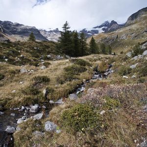 Preview wallpaper mountains, valley, trees, stones, nature