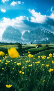 Preview wallpaper mountains, vast, field, flowers, structure