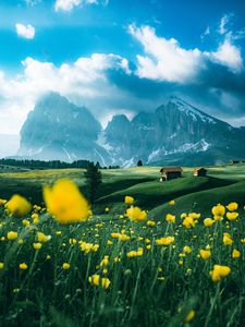 Preview wallpaper mountains, vast, field, flowers, structure