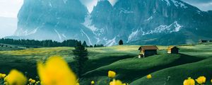 Preview wallpaper mountains, vast, field, flowers, structure