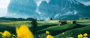 Preview wallpaper mountains, vast, field, flowers, structure