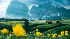 Preview wallpaper mountains, vast, field, flowers, structure
