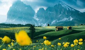 Preview wallpaper mountains, vast, field, flowers, structure