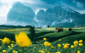 Preview wallpaper mountains, vast, field, flowers, structure