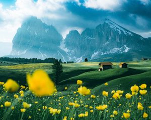 Preview wallpaper mountains, vast, field, flowers, structure