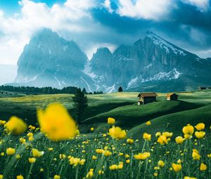 Preview wallpaper mountains, vast, field, flowers, structure