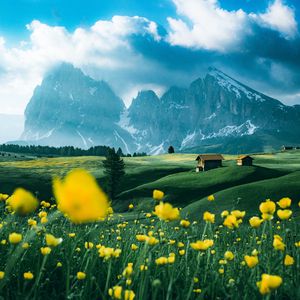 Preview wallpaper mountains, vast, field, flowers, structure